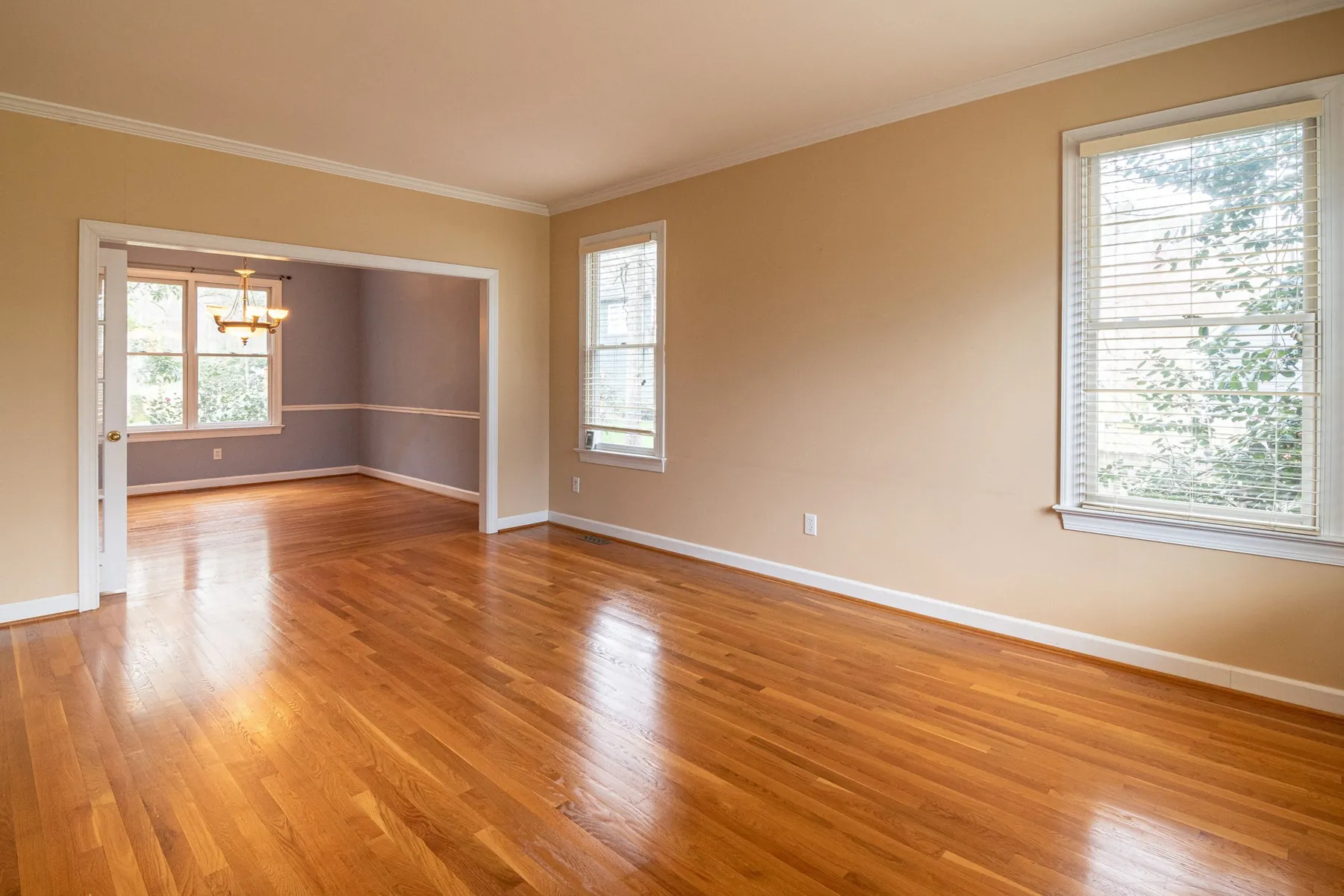 Glossy refinished oak hardwood floor in a sunlit room